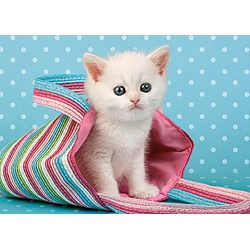 Castorland (B-010172) - "White Cat in Bag" - 108 pieces puzzle