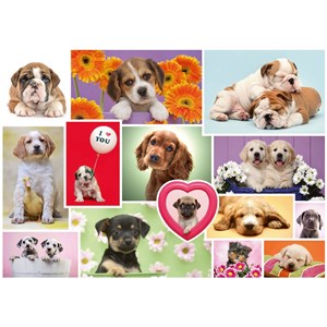 Schmidt Spiele (58231) - "Friends on four paws" - 1000 pieces puzzle
