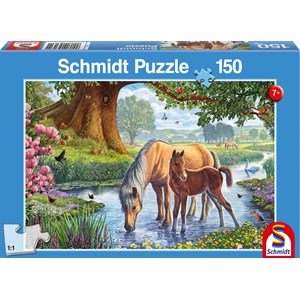 Schmidt Spiele (56161) - "Horses" - 150 pieces puzzle