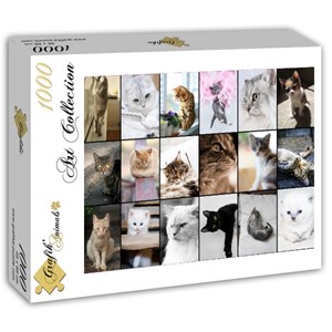 Grafika (T-00100) - "Collage, Cats" - 1000 pieces puzzle