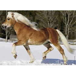 Nathan (86733) - "Horse" - 100 pieces puzzle