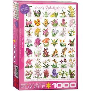 Eurographics (6000-0655) - "Orchids" - 1000 pieces puzzle