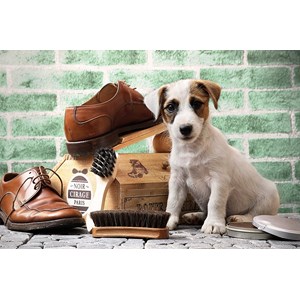 Tactic (53339) - "The Little Shoe-Shine" - 500 pieces puzzle