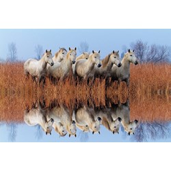 Tactic (53340) - "Horses" - 500 pieces puzzle