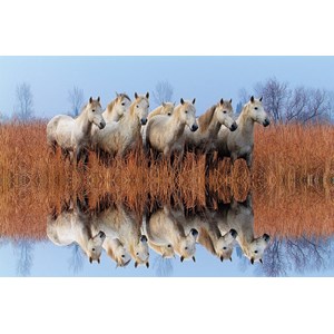 Tactic (53340) - "Horses" - 500 pieces puzzle