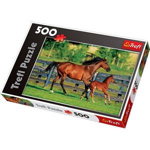 Trefl (370959) - "Foal's First Steps" - 500 pieces puzzle