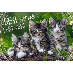 Trefl (13215) - "Best Friends Forever" - 260 pieces puzzle