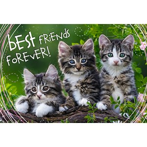 Trefl (13215) - "Best Friends Forever" - 260 pieces puzzle