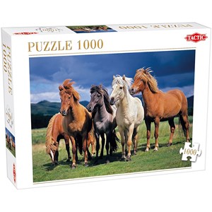 Tactic (53929) - "Camargue Horses" - 1000 pieces puzzle