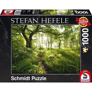 Schmidt Spiele (59382) - Stefan Hefele: "The Enchanted Path" - 1000 pieces puzzle