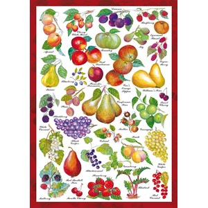 Schmidt Spiele (59569) - "Countryside Art" - 1000 pieces puzzle