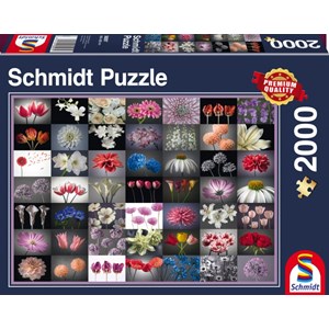 Schmidt Spiele (58297) - "Flower Greeting" - 2000 pieces puzzle