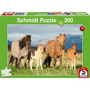 Schmidt Spiele (56199) - "Horse Family" - 200 pieces puzzle