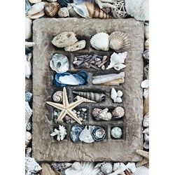 Schmidt Spiele (58298) - "Treasures of the Sea" - 500 pieces puzzle