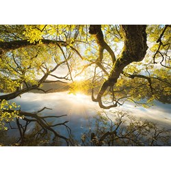 Schmidt Spiele (59383) - Stefan Hefele: "Embrace of Gold" - 1000 pieces puzzle