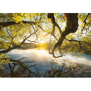 Schmidt Spiele (59383) - Stefan Hefele: "Embrace of Gold" - 1000 pieces puzzle