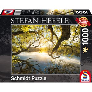 Schmidt Spiele (59383) - Stefan Hefele: "Embrace of Gold" - 1000 pieces puzzle