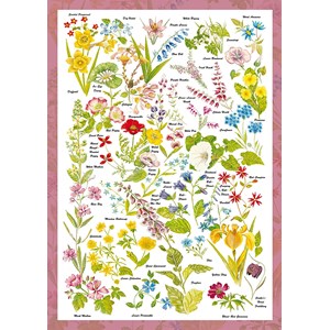 Schmidt Spiele (59566) - "Wild Flowers" - 1000 pieces puzzle