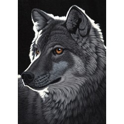Grafika Kids (01703) - Schim Schimmel: "Night Wolf" - 24 pieces puzzle