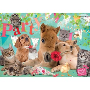 Jumbo (19351) - "Happy Birthday" - 500 pieces puzzle