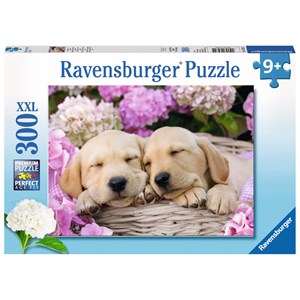 Ravensburger (13235) - "Sweet Dogs in the Basket" - 300 pieces puzzle