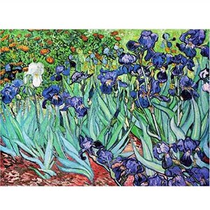 D-Toys (66916-VG03) - Vincent van Gogh: "Iris" - 1000 pieces puzzle
