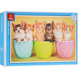 Pintoo (H1478) - "Cup cats" - 1000 pieces puzzle