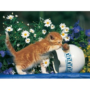 Ravensburger (14104) - "Curiosity" - 500 pieces puzzle