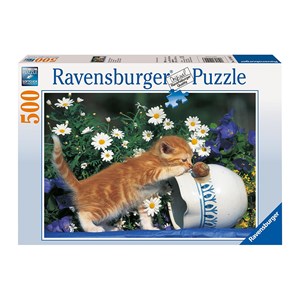 Ravensburger (14104) - "Curiosity" - 500 pieces puzzle