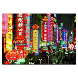 Educa (15160) - "Urban landscape, Tokyo" - 1000 pieces puzzle