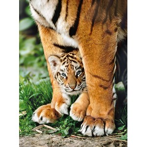 Clementoni (35046) - "Bengal tiger cub between its mother's legs" - 500 pieces puzzle