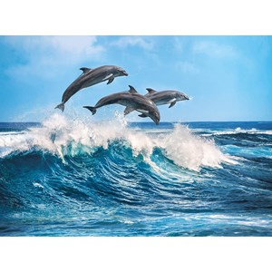Clementoni (35055) - "Dolphins" - 500 pieces puzzle