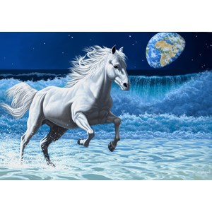 Grafika (02582) - Schim Schimmel: "Wave Runner" - 1000 pieces puzzle