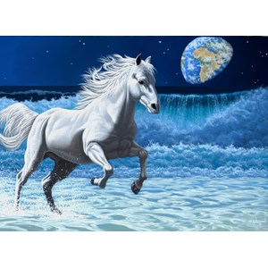 Grafika (02583) - Schim Schimmel: "Wave Runner" - 300 pieces puzzle