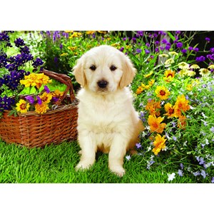 Trefl (371604) - Greg Cuddiford: "Labrador Puppy in the Garden" - 500 pieces puzzle