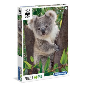 Clementoni (29054) - "Baby Koala" - 250 pieces puzzle