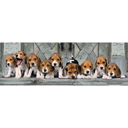 Clementoni (39435) - "Beagles" - 1000 pieces puzzle