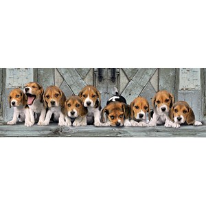 Clementoni (39435) - "Beagles" - 1000 pieces puzzle