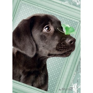 Ravensburger (14194) - "Lucky Puppy" - 500 pieces puzzle