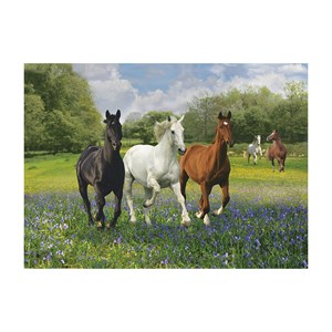 Clementoni (39255) - "Horses" - 1000 pieces puzzle