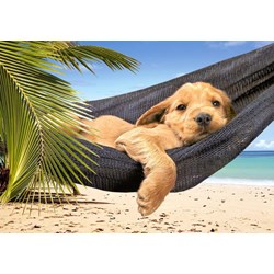 Castorland (B-51144) - "Leisure Time" - 500 pieces puzzle