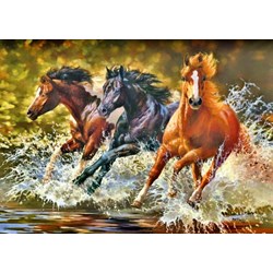 Castorland (B-51823) - Bonnie Marris: "Splash" - 500 pieces puzzle