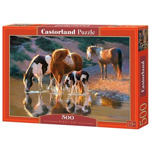Castorland (B-52097) - "Night Cap" - 500 pieces puzzle