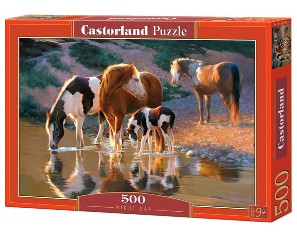 Castorland (B-52097) - "Night Cap" - 500 pieces puzzle