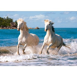 Castorland (C-102433) - "White Camargue Horses" - 1000 pieces puzzle