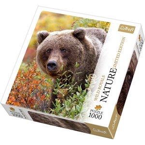 Trefl (10518) - "Grizzly, Alaska, USA" - 1000 pieces puzzle