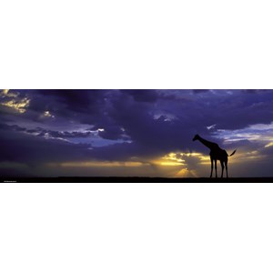 Heye (29471) - Alexander von Humboldt: "Sunset" - 1000 pieces puzzle