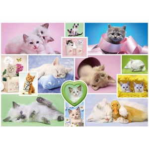 Schmidt Spiele (58230) - "Cuddly Cats" - 1000 pieces puzzle