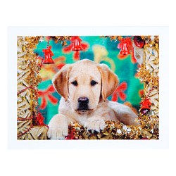 Step Puzzle (98007) - "Puppy" - 300 pieces puzzle