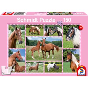 Schmidt Spiele (56269) - "Horse Dreams" - 150 pieces puzzle